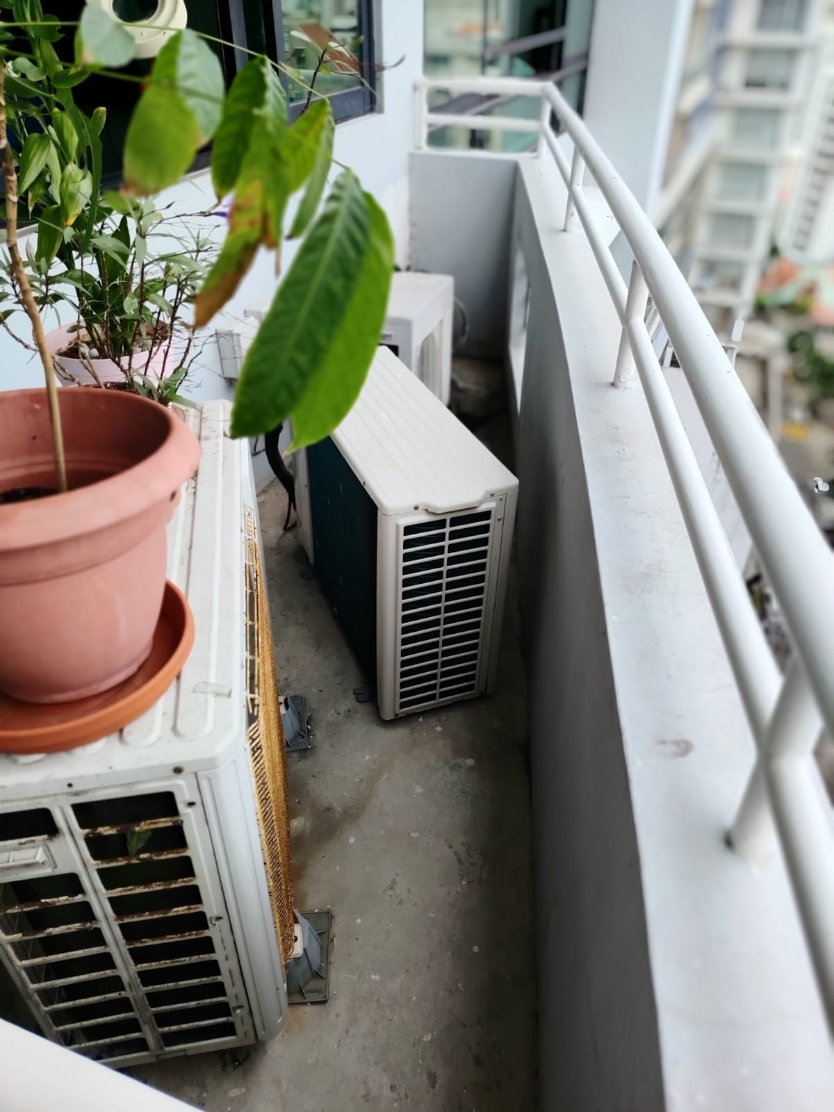 Evaluación y diseño de espacio para la micro adaptación climática Residencial o Area Social — foto 2 de 5