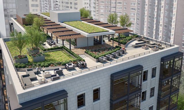 Visita y Pre Diseño de Techos verdes para casas y edificios — foto 4 de 5