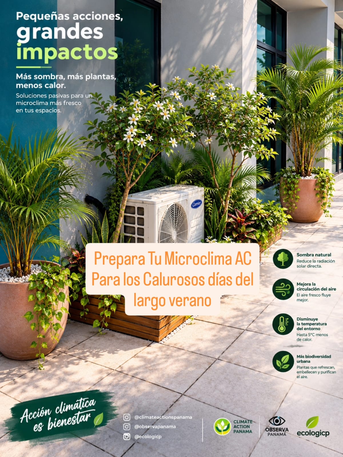 Evaluación y diseño de espacio para la micro adaptación climática Residencial o Area Social
